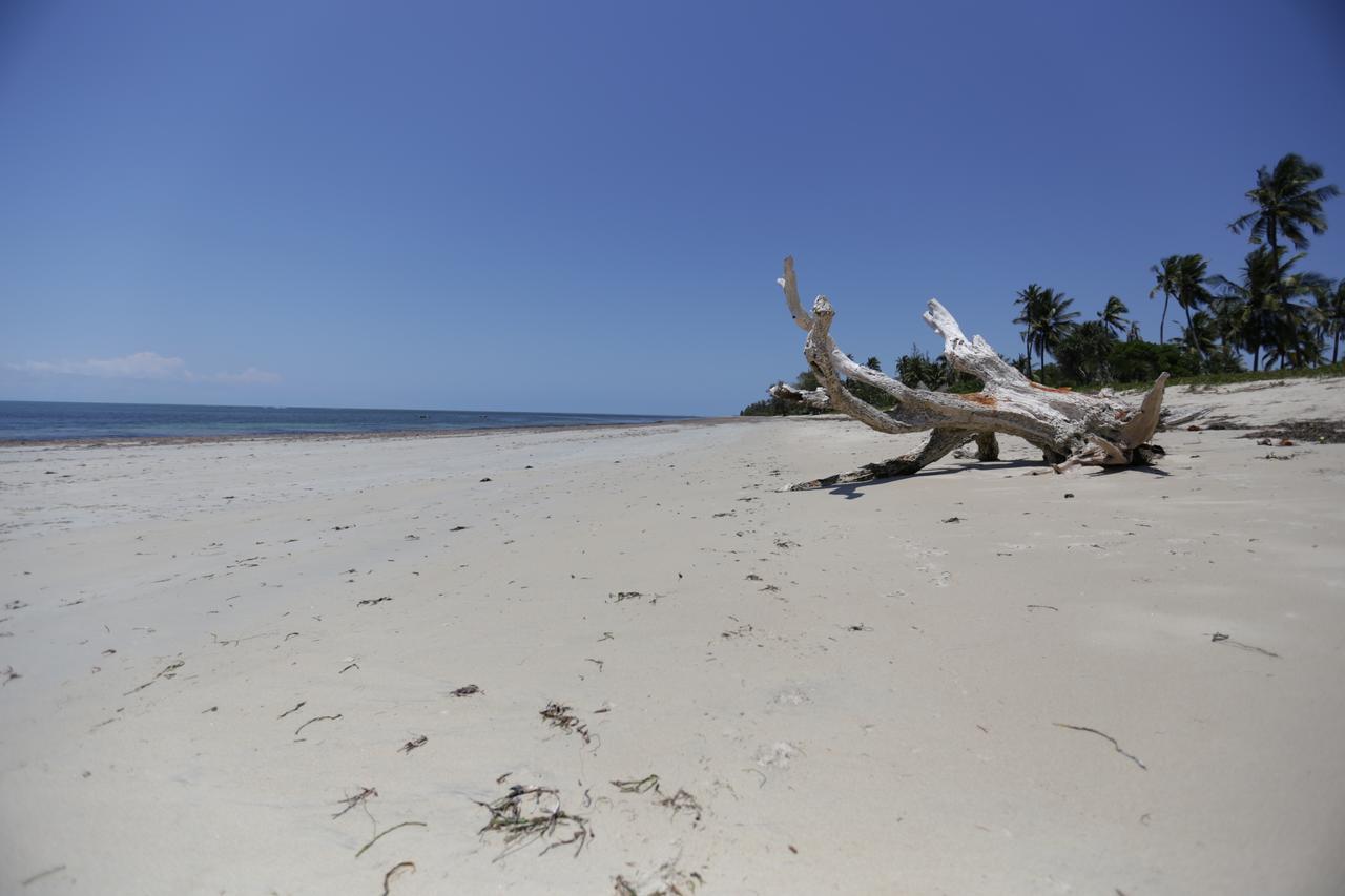 The Beach Crab Resort Pangani Экстерьер фото